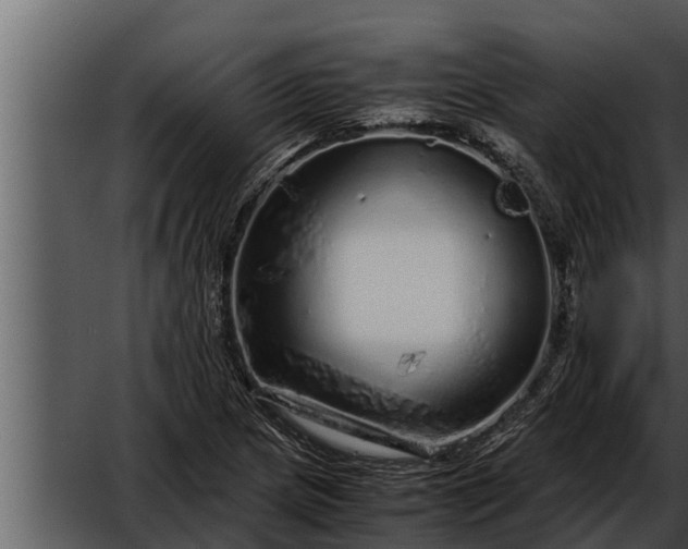 X0000052601217200507160002