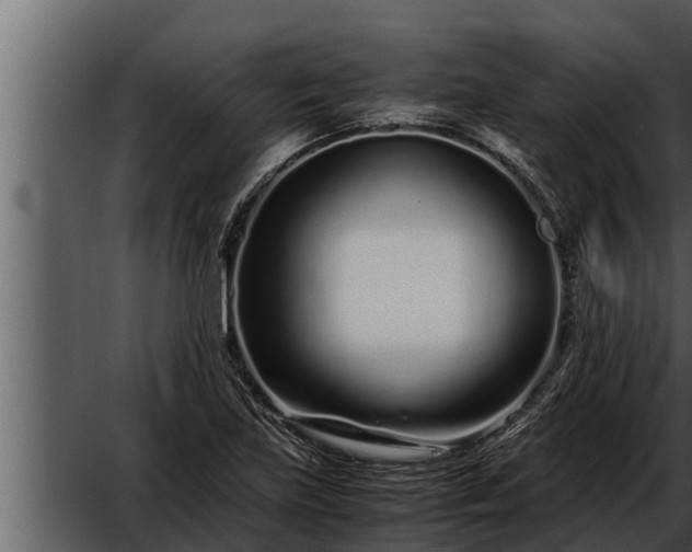 X0000052601219200507160002