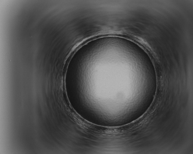 X0000052601220200507160002