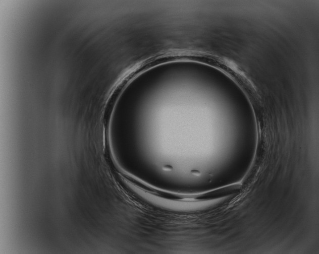 X0000052601221200507160002