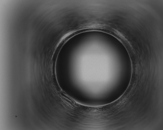 X0000052601222200507160002