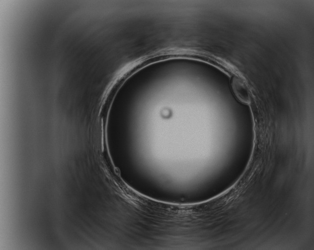 X0000052601223200507160002