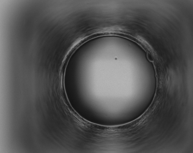 X0000052601224200507160002