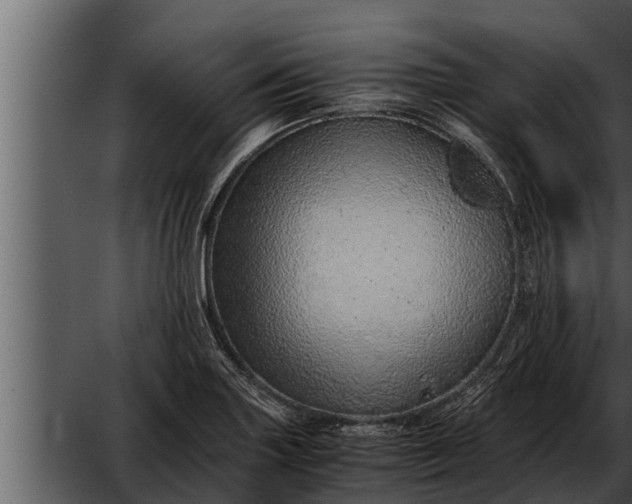 X0000052601227200507160002