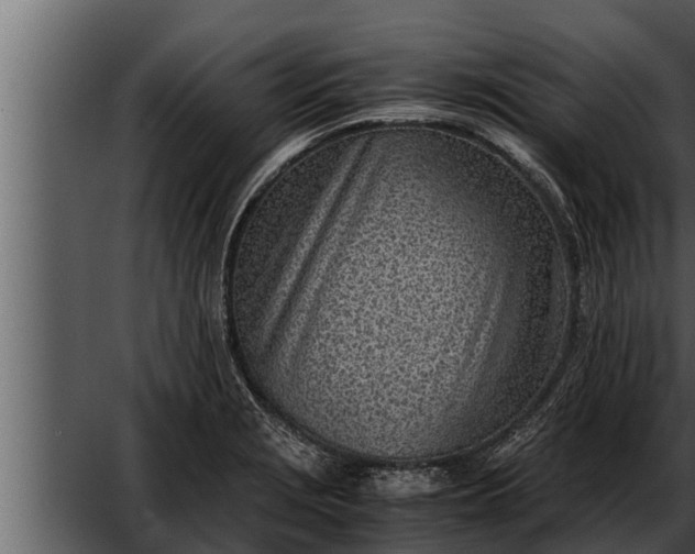 X0000052601229200507160002