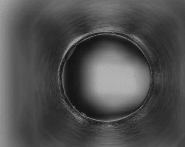 X0000052601230200507160002