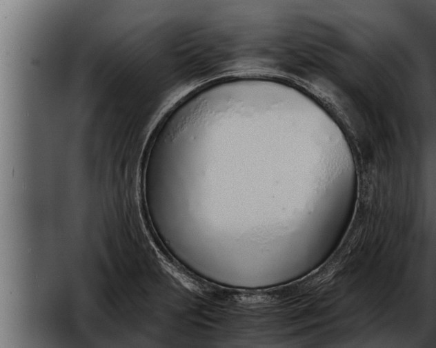 X0000052601231200507160002