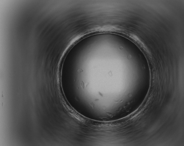 X0000052601232200507160002