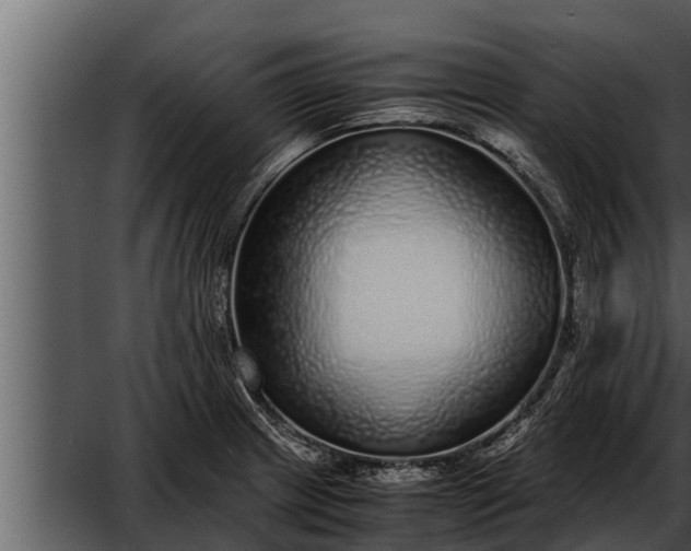 X0000052601233200507160002