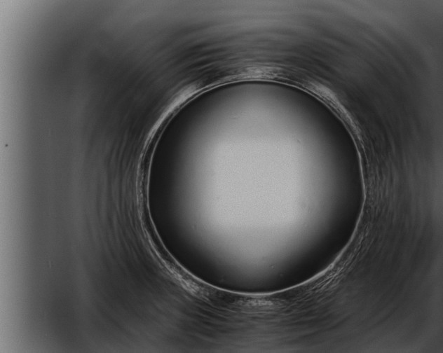 X0000052601235200507160002