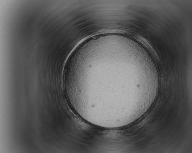 X0000052601236200507160002