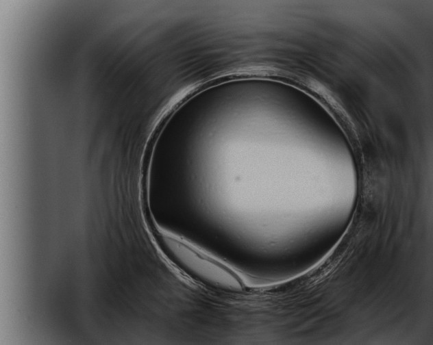 X0000052601237200507160002