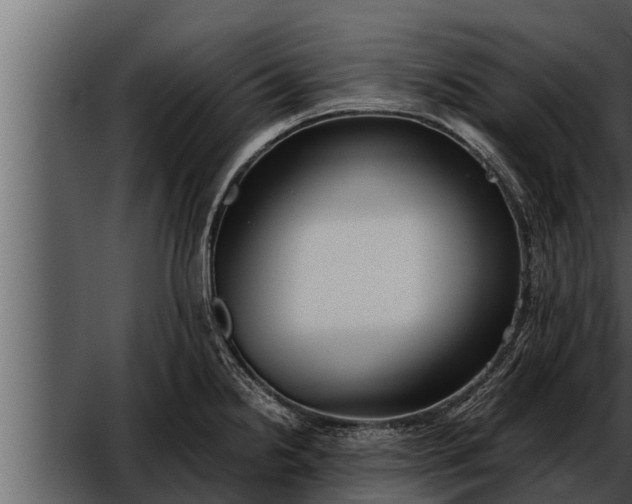 X0000052601238200507160002