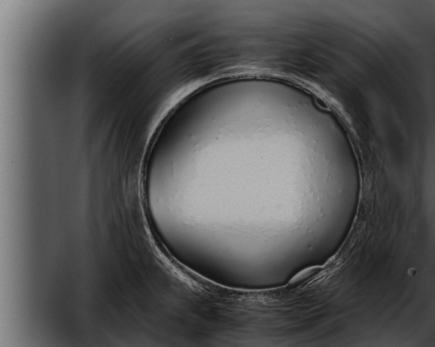 X0000052601239200507160002