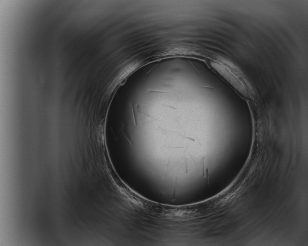 X0000052601241200507160002