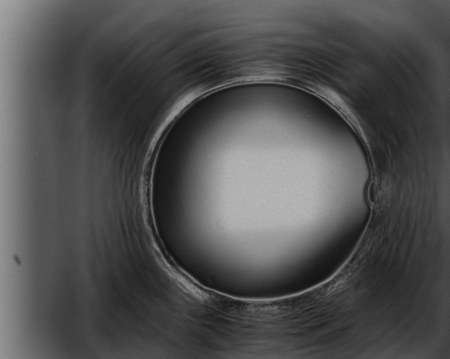 X0000052601243200507160002