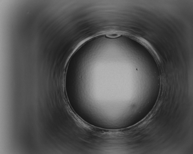 X0000052601244200507160002