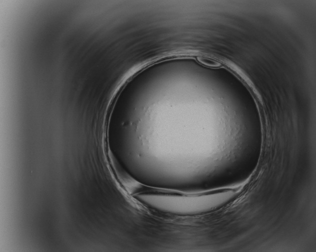 X0000052601245200507160002