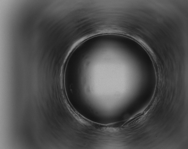 X0000052601246200507160002