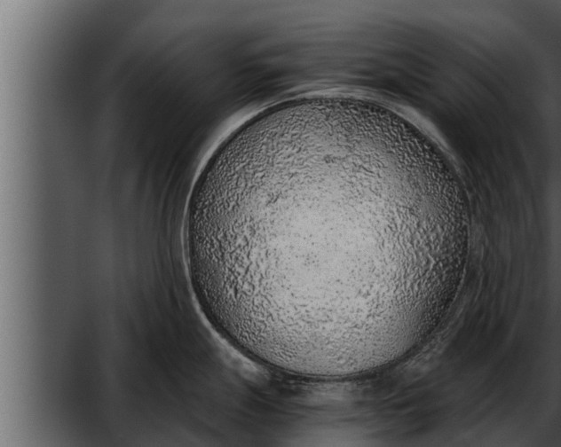 X0000052601247200507160002