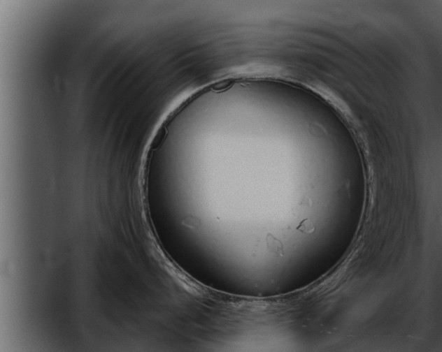 X0000052601248200507160003