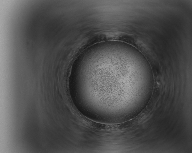 X0000052601249200507160002