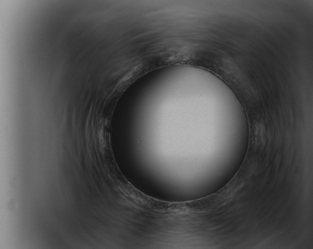 X0000052601250200507160002