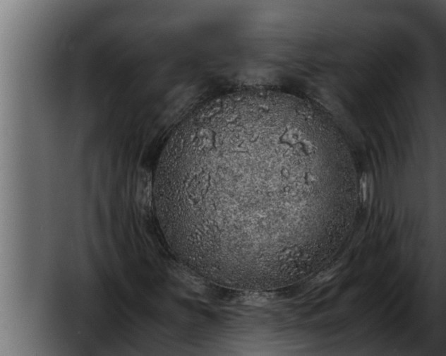 X0000052601251200507160002