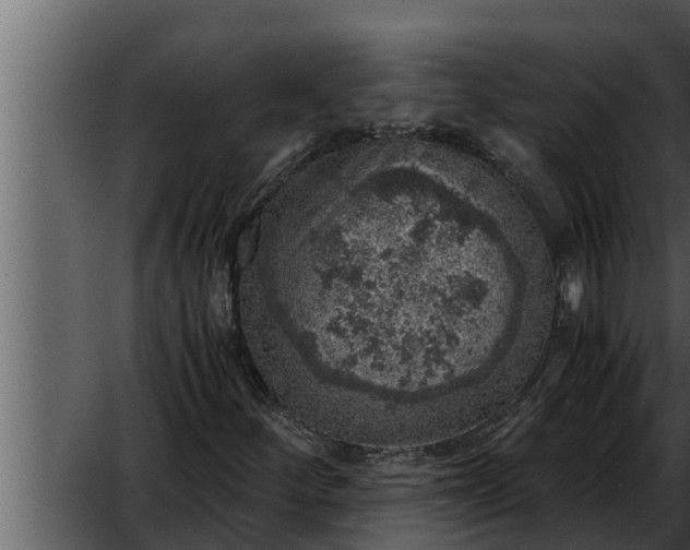 X0000052601252200507160002