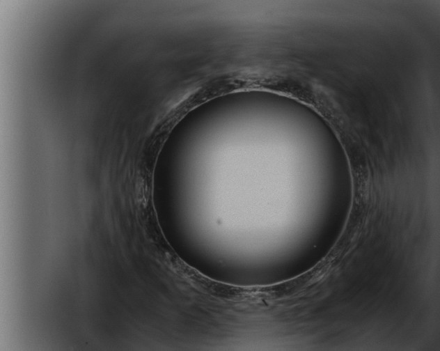 X0000052601253200507160002