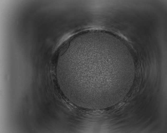 X0000052601255200507160002