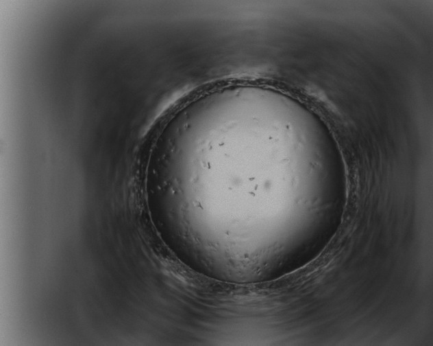 X0000052601256200507160002