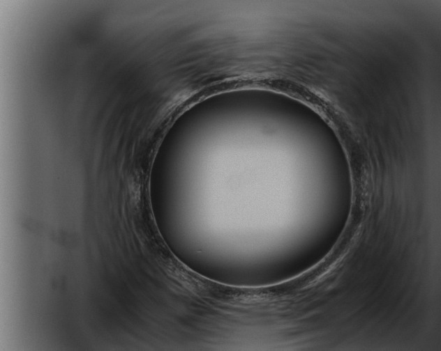 X0000052601257200507160002