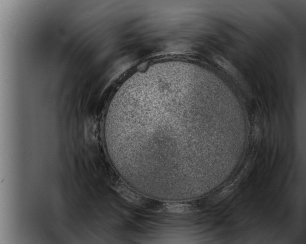 X0000052601258200507160002