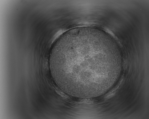 X0000052601259200507160002