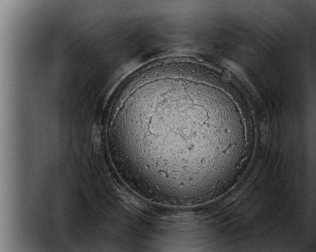 X0000052601260200507160002