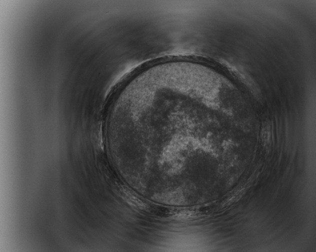 X0000052601262200507160001