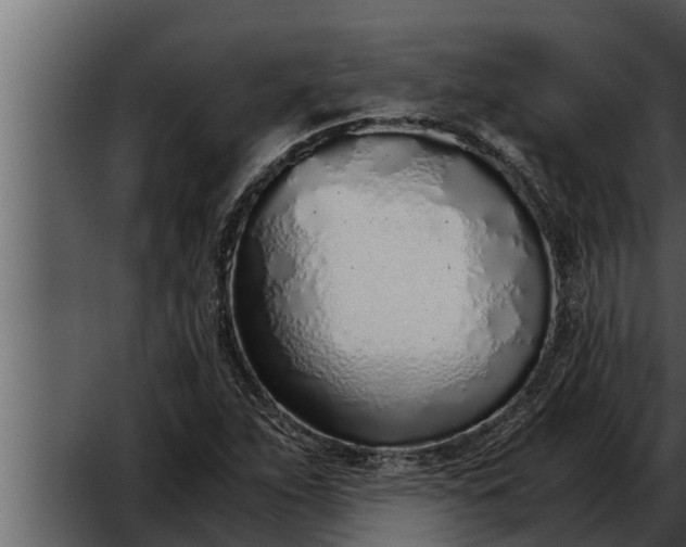 X0000052601263200507160001