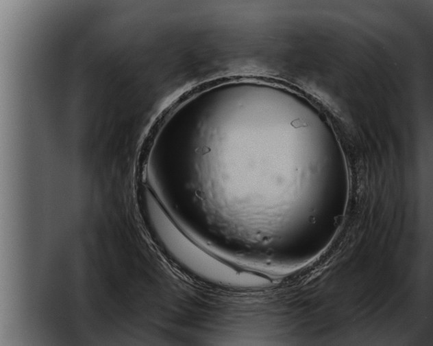 X0000052601264200507160001