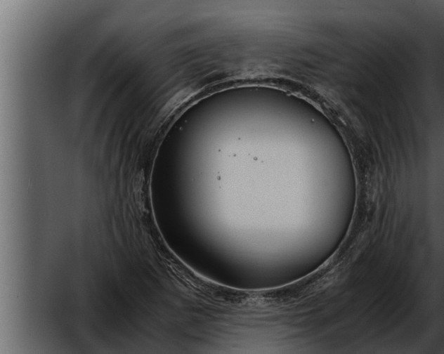 X0000052601265200507160001