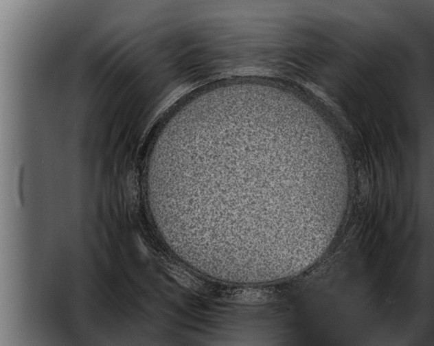 X0000052601266200507160001