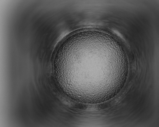 X0000052601267200507160001