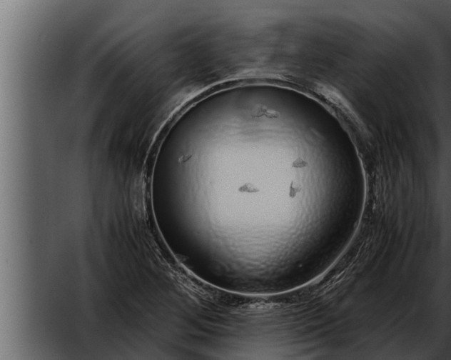 X0000052601268200507160001