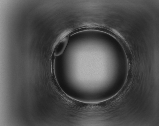 X0000052601269200507160001