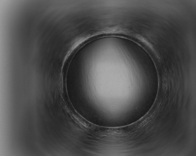 X0000052601270200507160001