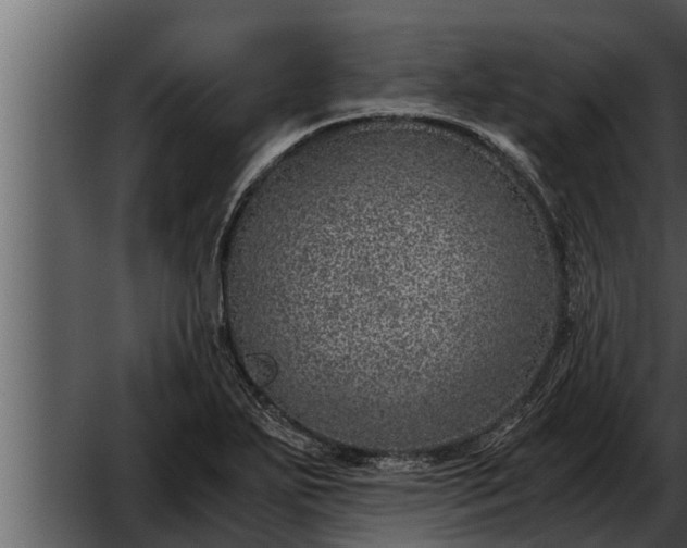 X0000052601271200507160001