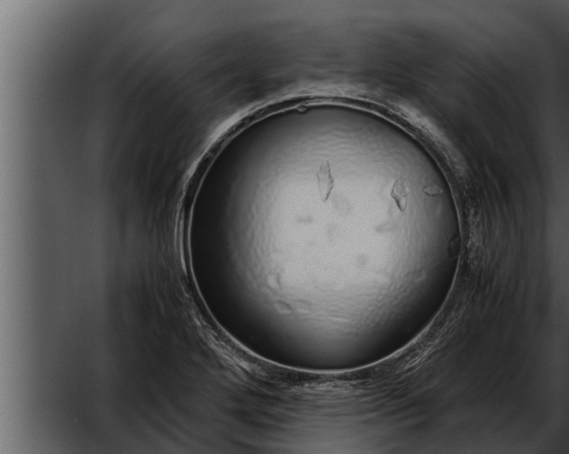 X0000052601272200507160001