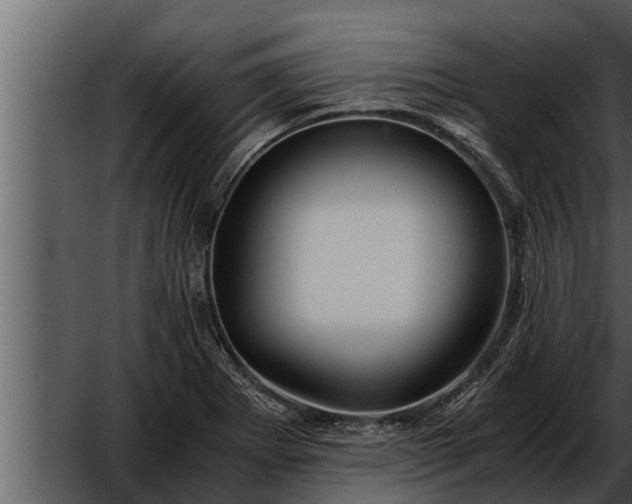 X0000052601273200507160001