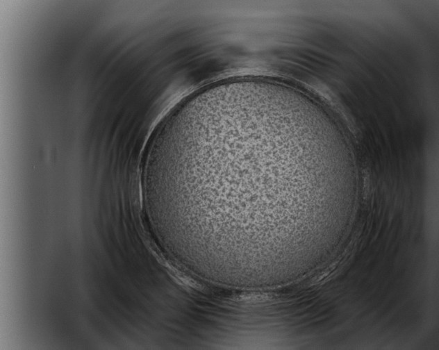 X0000052601274200507160001