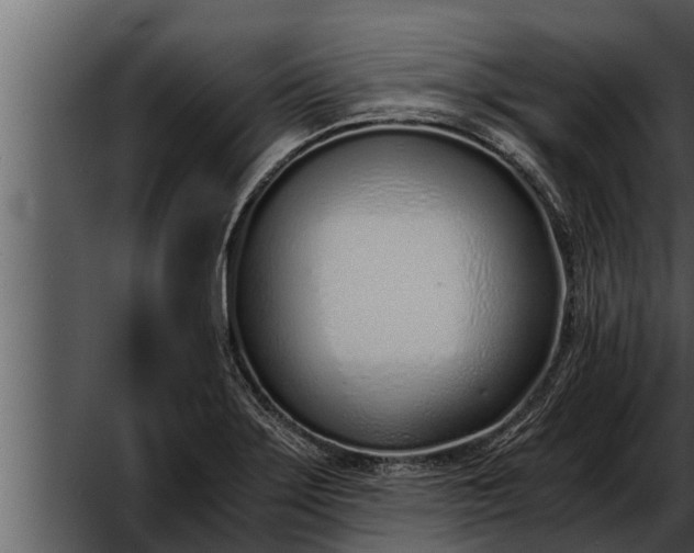 X0000052601275200507160001